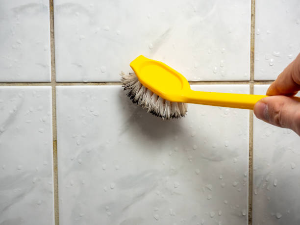 Mount Carmel, IL Mold Remediation Company