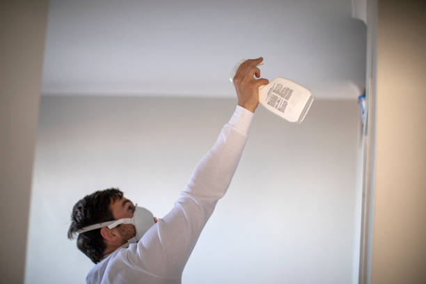 Best Post-Flood Mold Remediation in Mount Carmel, IL