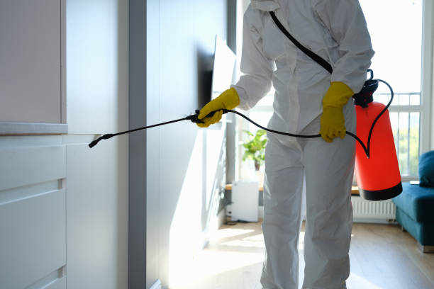 Best Emergency Mold Remediation in Mount Carmel, IL