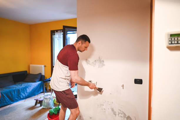 Best Basement Mold Remediation in Mount Carmel, IL